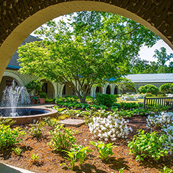 Lunch & Learn: Not Just a Walk in the Park, The Story of Mariners' Park - logo